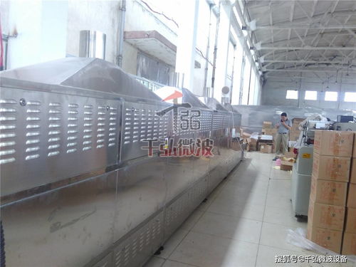 提高食品质量的助手微波杀菌设备