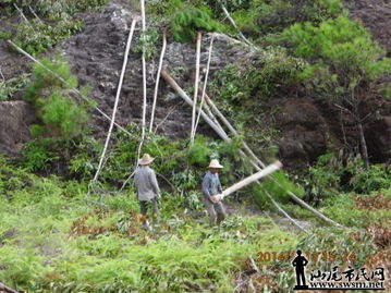 生态保护与产业发展的矛盾 从违规造坟与砍伐森林说起