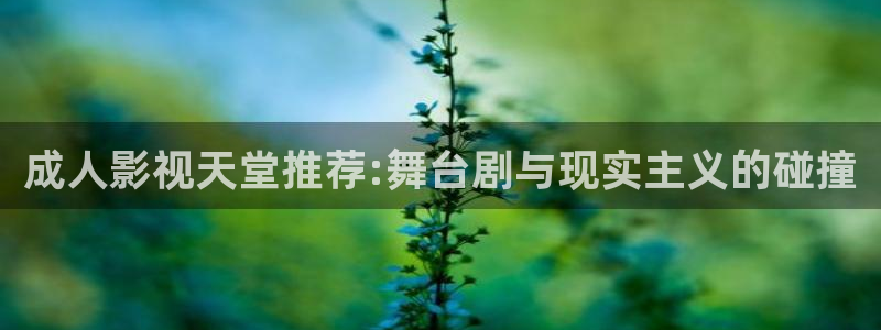 岛国伦理影片：成人影视天堂推荐:舞台剧与现实主义的碰撞