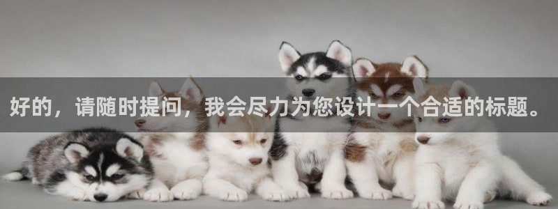 道德伦理视频
