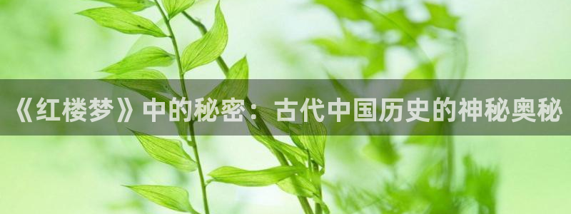 秋霞在线伦理影视