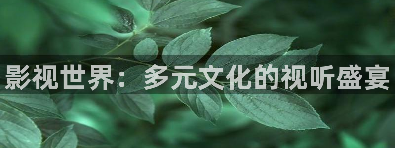高清伦理视频网站