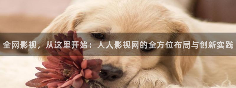 伦理影片