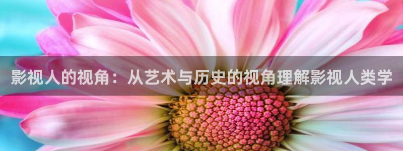 免费午夜伦理影院