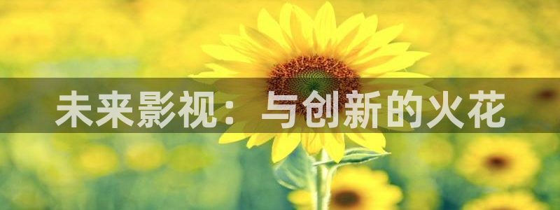 琪琪午夜伦理影院的播出平台