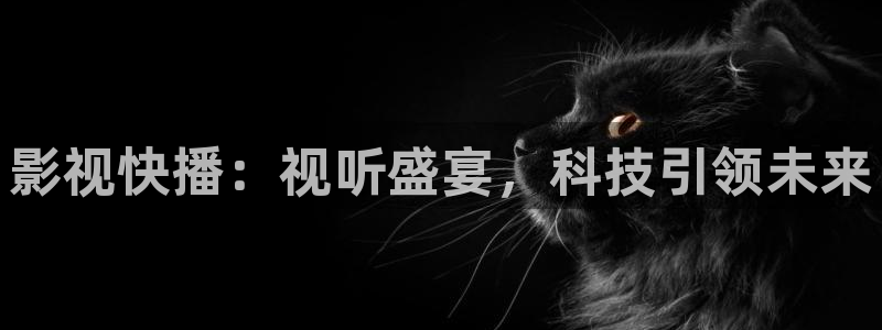 成人伦理视频在线观看网站：影视快播：视听盛宴，科技引领未来